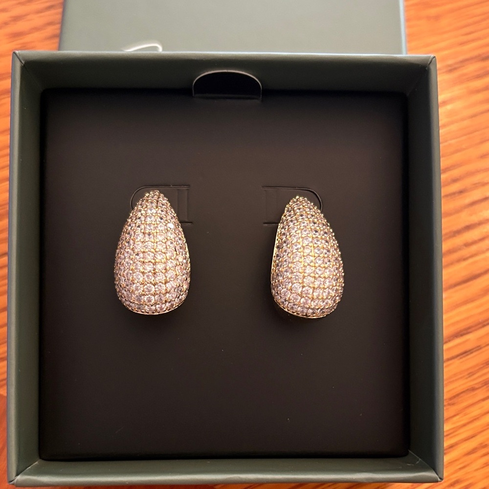 Sparkling Teardrop Earrings